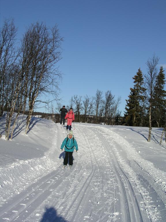 Birkelund Camping Geilo Eksteriør billede