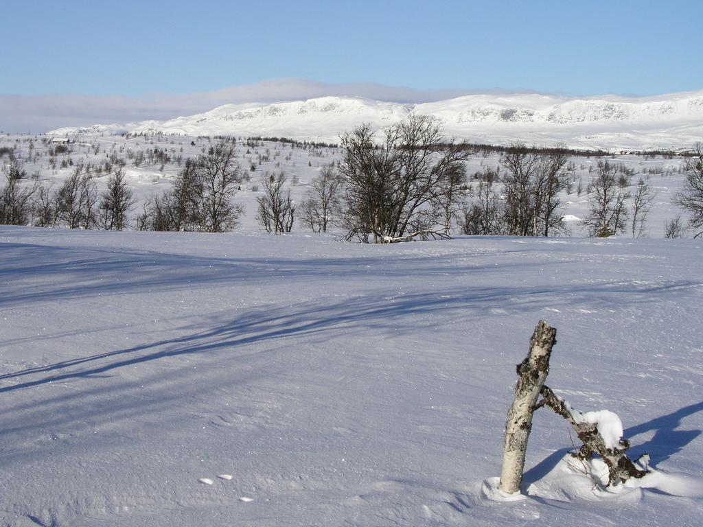 Birkelund Camping Geilo Eksteriør billede