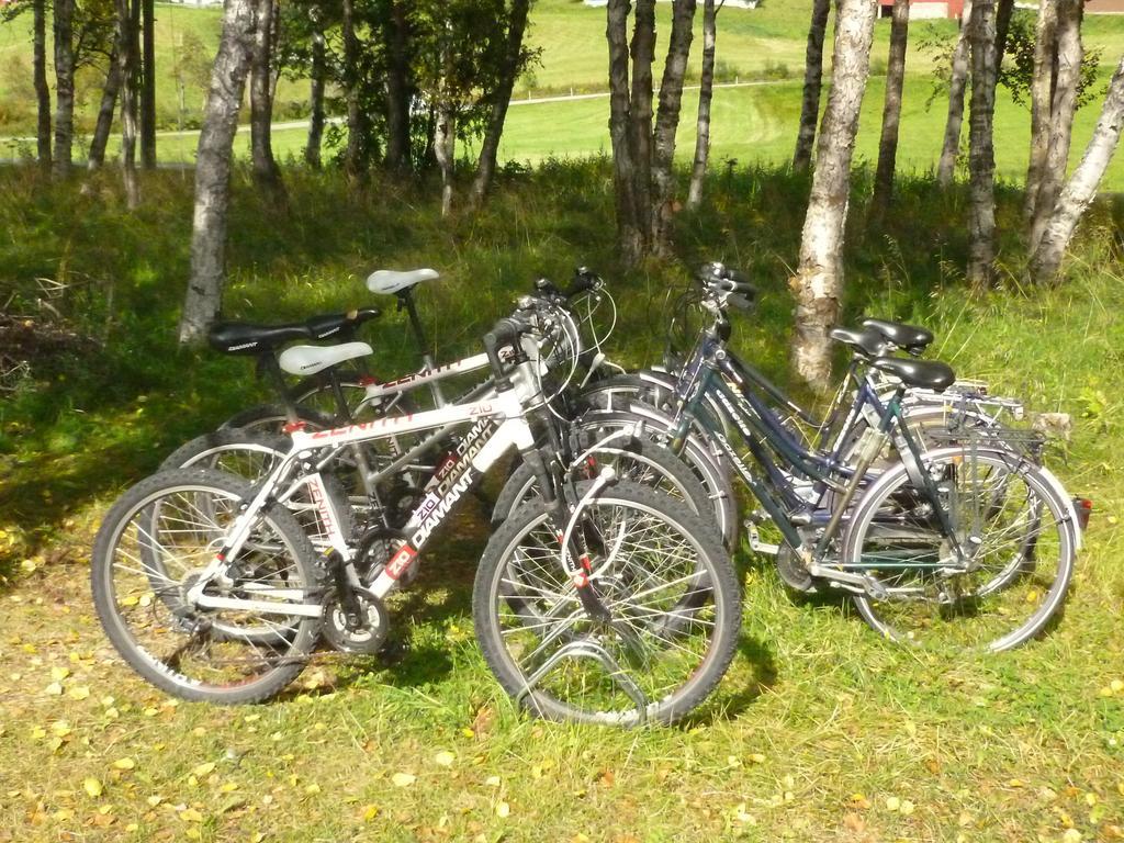Birkelund Camping Geilo Eksteriør billede